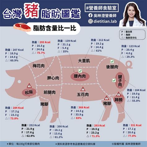 豬肉屬性|肉類熱量＆營養排行榜